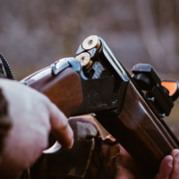 Shotgun Sounds