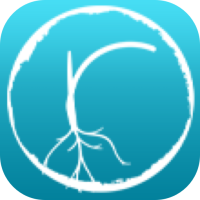 Roots Yoga