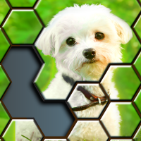 Jigsaw Puzzles Hexa