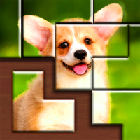 Jigsaw Puzzles Blocks