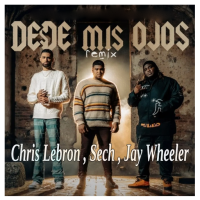 Sech -Desde Mis Ojos Remix.