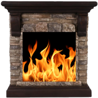 LIVE FIREPLACE