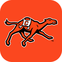 Campbell Fighting Camels