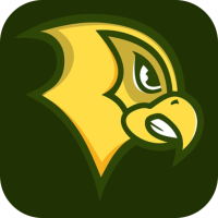 Felician Athletics (Falcons)
