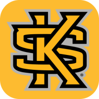 Kennesaw State Owls