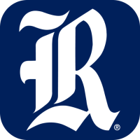Rice Owls