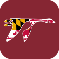 Washington College-GooseNation