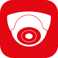 Live Camera — 온라인 웹캠, 어스 캠 감시