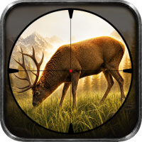 Sniper Hunting 3D