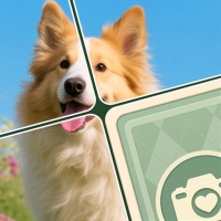 SoEasy Jigsaw:Puzzle Solitaire