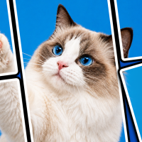 JigCanvas Drop: Jigsaw Puzzle