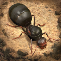  The Ants: Underground Kingdom Tải về