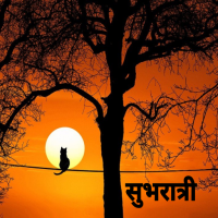 Good Night Shayari Hindi 2024