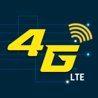 4G/5G 切换器 仅 LTE 模式