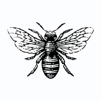 Buckbees Shop