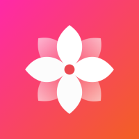 Gallery - Simple and fast