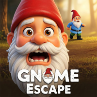 Gnome Run: Escape the Maze