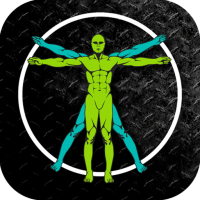 Evolve Training Systems