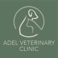 Adel Veterinary Clinic