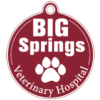 Big Springs Vet