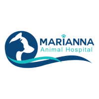 Marianna AH