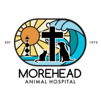 Morehead Animal Hospital