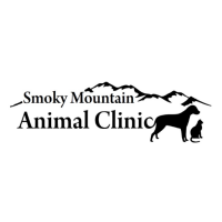 SMOKY MTN VET