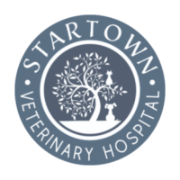 Startown Veterinary Hospital