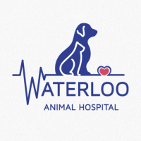 Waterloo Vet