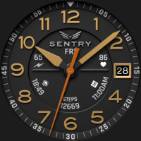 BLZ SENTRY - Field Watch Face