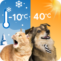 Cat & Dog Weather