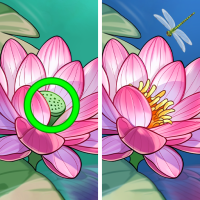 Zen'i Bul:Farkları Bul Noktası