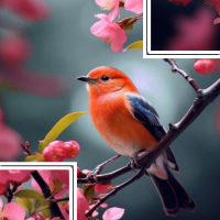 Picture Puzzle Solitaire