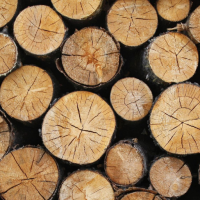Wooden Wallpapers