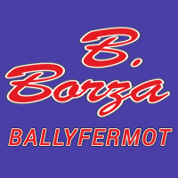 B.Borza