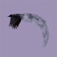 Flying Crow Yoga Studio