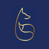 Fox Pilates & Wellbeing