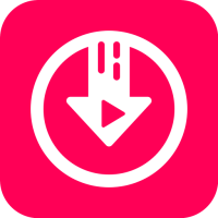 Video Downloader - Story Saver
