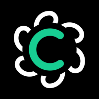 Ask AI Chatbot: Concise AI