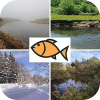 Fishing trips