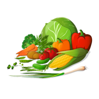 Diet Recipes