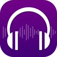 Offline music player