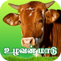 Uzhavan Maadu - உழவன் மாடு