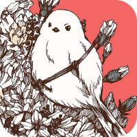 壁纸 Wallpaper HALKA