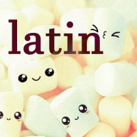 Latin Hits Music Radio Online