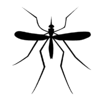 Mosquito Sound